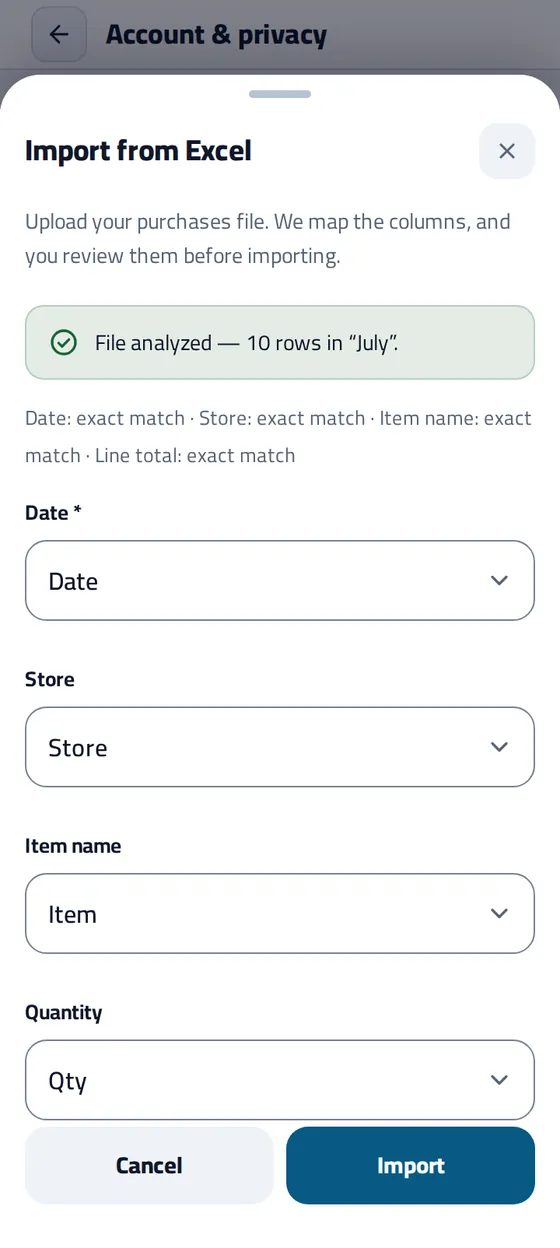The Import from Excel sheet in Masareefy: file analysed, 10 rows in “July”, each field matched to a column of the file: date, store, item name and quantity