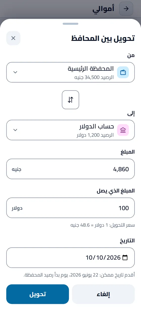 نموذج «تحويل بين المحافظ»: ٤٬٨٦٠ جنيهًا من المحفظة الرئيسية، و١٠٠ دولار تصل إلى حساب الدولار